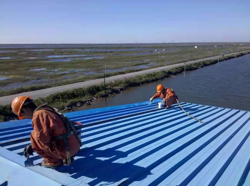 龙口钢结构屋面漏水原因